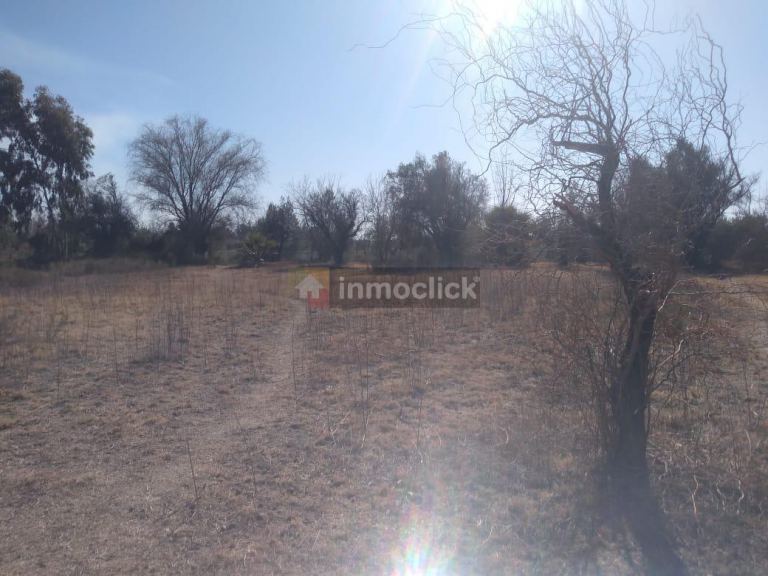 Lote en Venta en Maipu, Mendoza