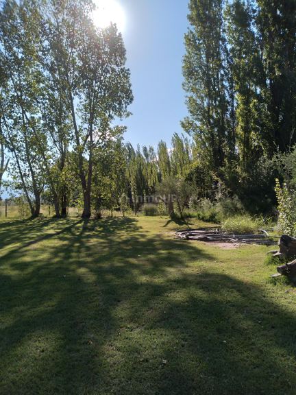 Lote en Venta en Lujan de Cuyo, Mendoza