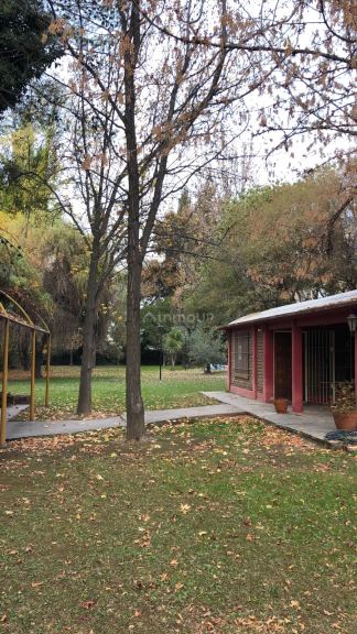 Industria en Venta en Lujan de Cuyo, Mendoza