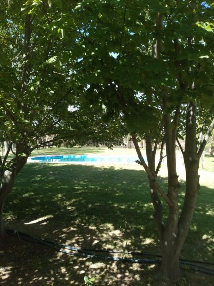 Quinta en Venta en Lujan de Cuyo, Mendoza