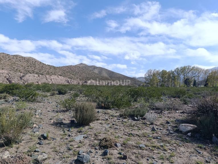 Lote en Venta en Lujan de Cuyo, Mendoza