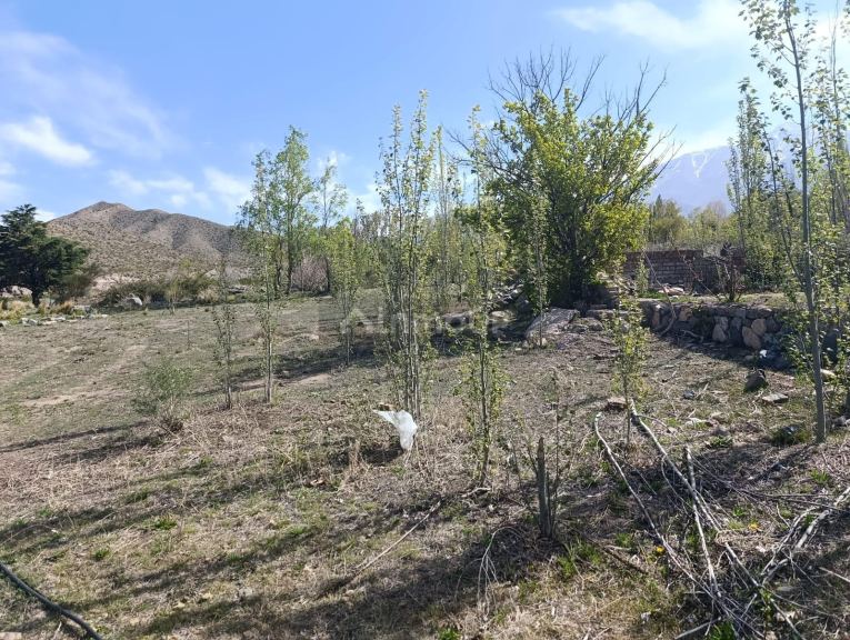 Lote en Venta en Lujan de Cuyo, Mendoza