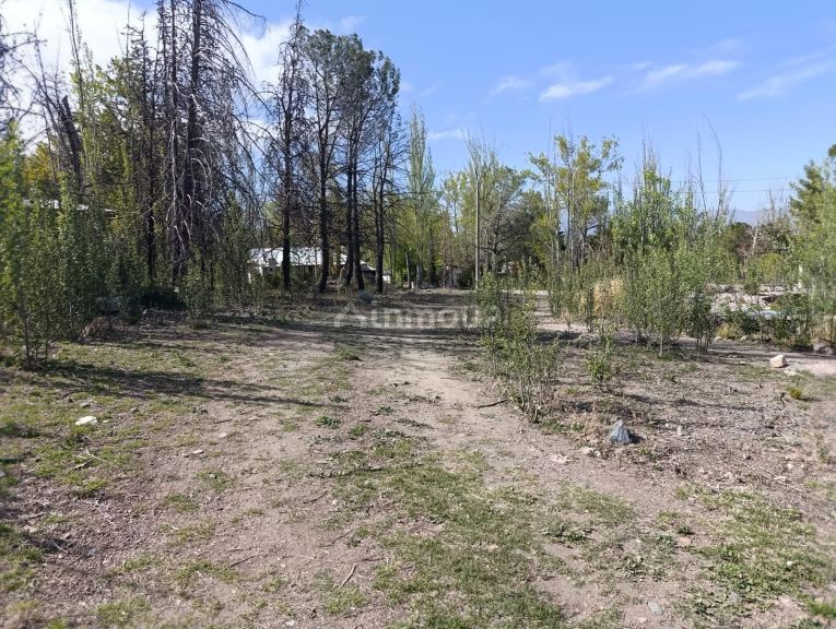 Terreno en Venta en Lujan de Cuyo, Mendoza