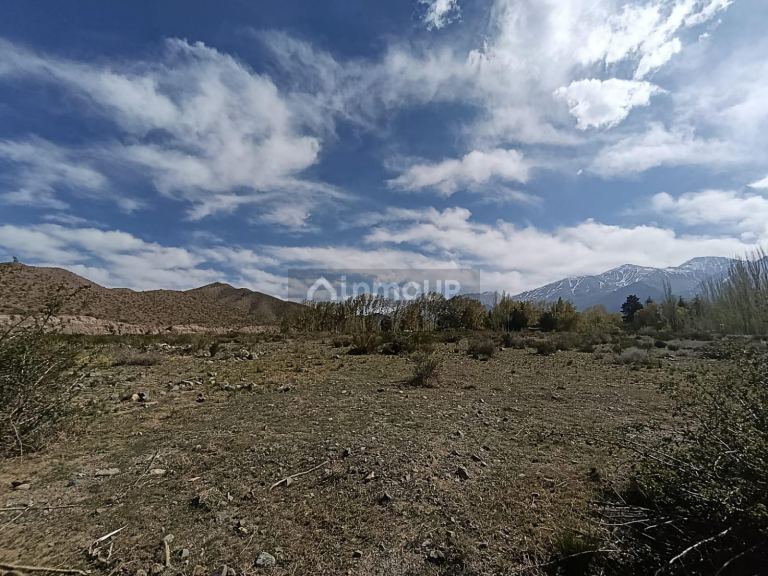 Terreno en Venta en Lujan de Cuyo, Mendoza