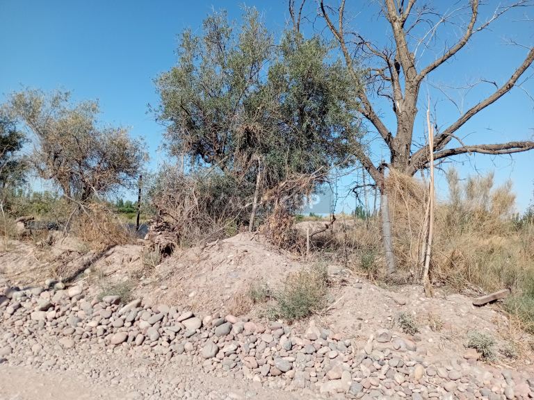 Lote en Venta en Maipu, Mendoza
