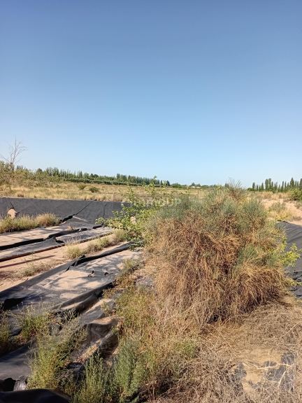 Loteo en Venta en Maipu, Mendoza