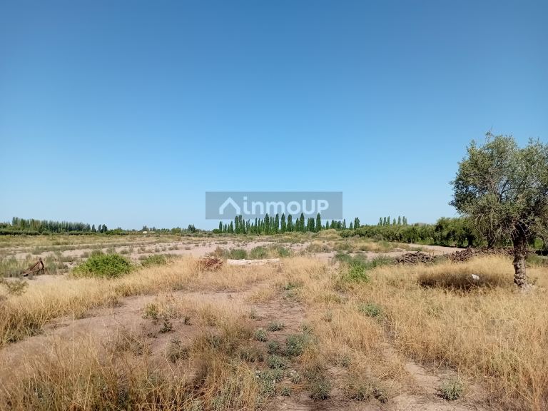 Loteo en Venta en Maipu, Mendoza