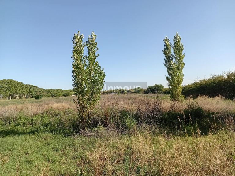 Loteo en Venta en Lujan de Cuyo, Mendoza