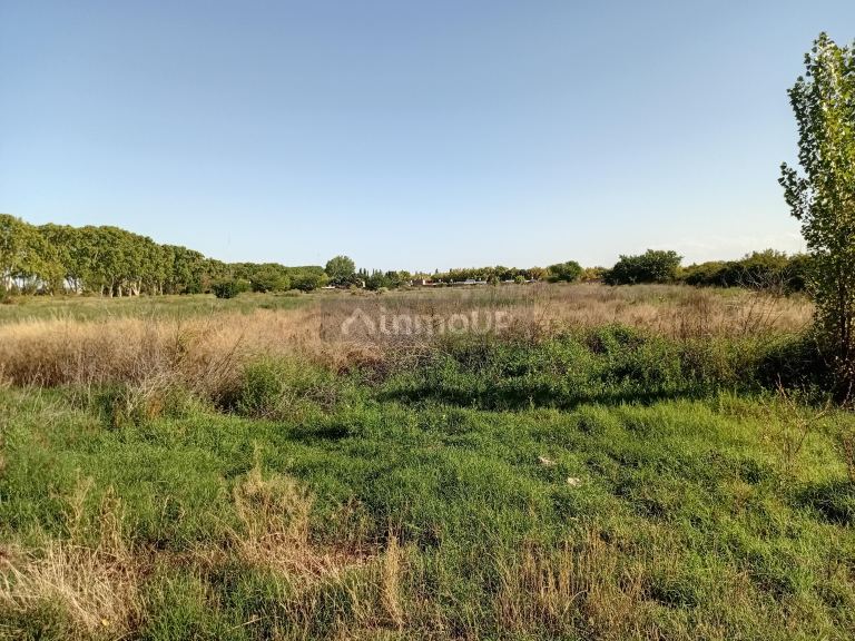 Loteo en Venta en Lujan de Cuyo, Mendoza