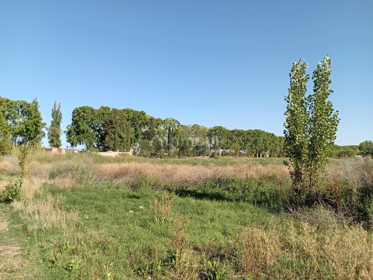 Loteo en Venta en Lujan de Cuyo, Mendoza