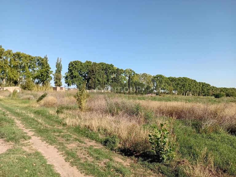 Loteo en Venta en Lujan de Cuyo, Mendoza