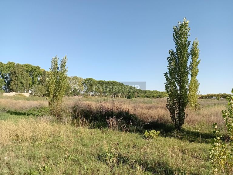 Loteo en Venta en Lujan de Cuyo, Mendoza