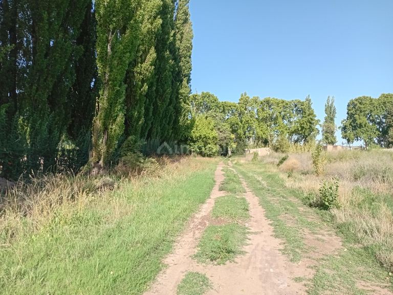 Loteo en Venta en Lujan de Cuyo, Mendoza