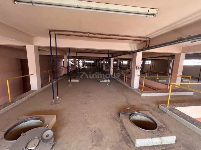Terreno en Venta en Lujan de Cuyo, Mendoza