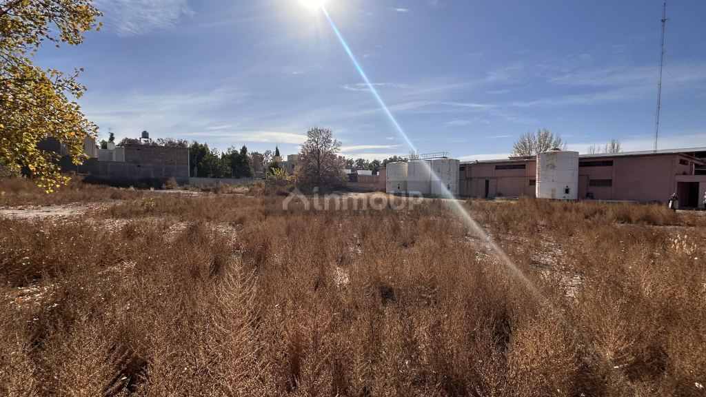 Terreno en Venta en Lujan de Cuyo, Mendoza
