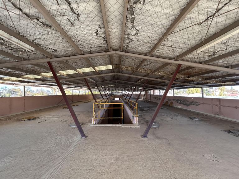 Terreno en Venta en Lujan de Cuyo, Mendoza
