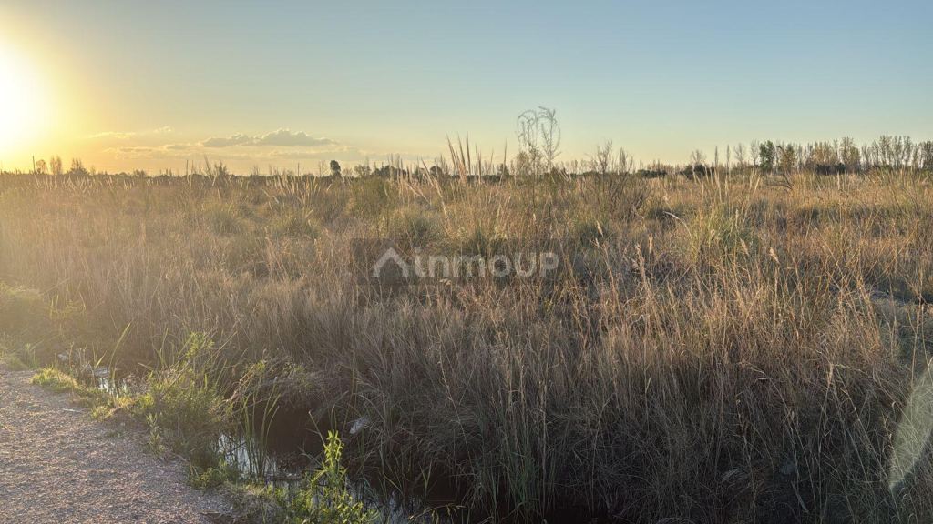 Finca en Venta en San Rafael, Mendoza