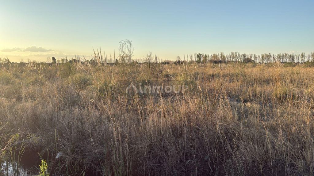 Finca en Venta en San Rafael, Mendoza