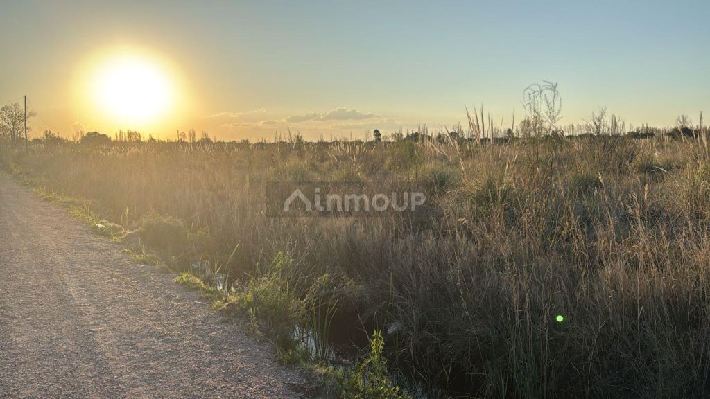 Finca en Venta en San Rafael, Mendoza