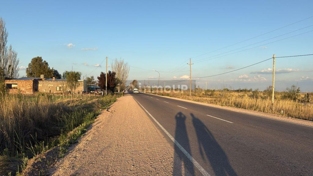 Finca en Venta en San Rafael, Mendoza