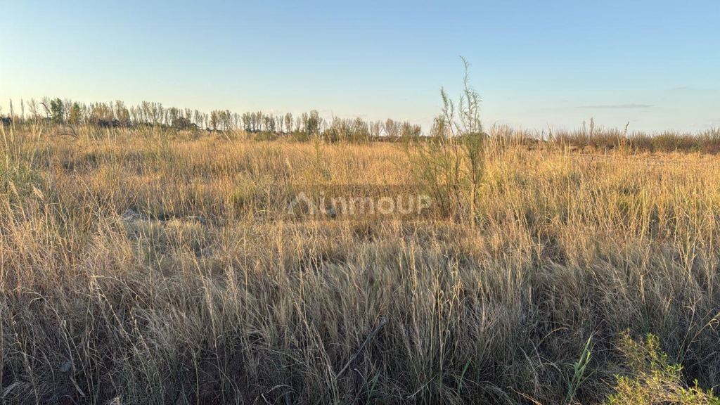 Finca en Venta en San Rafael, Mendoza