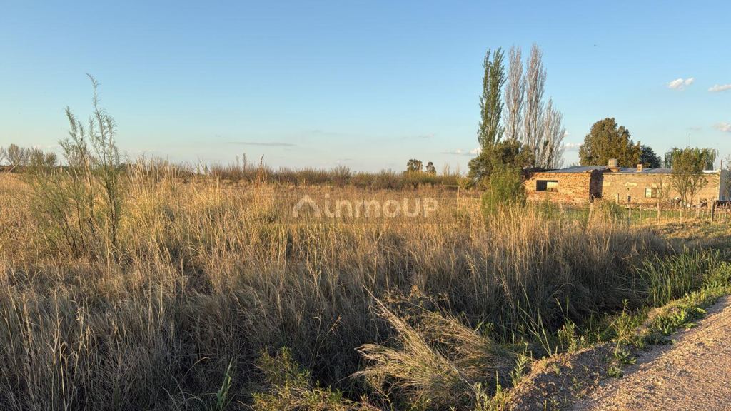 Finca en Venta en San Rafael, Mendoza