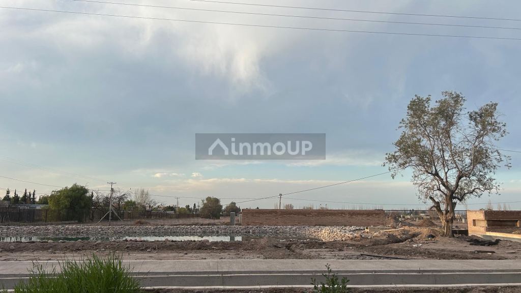 Lote en Venta en Lujan de Cuyo, Mendoza