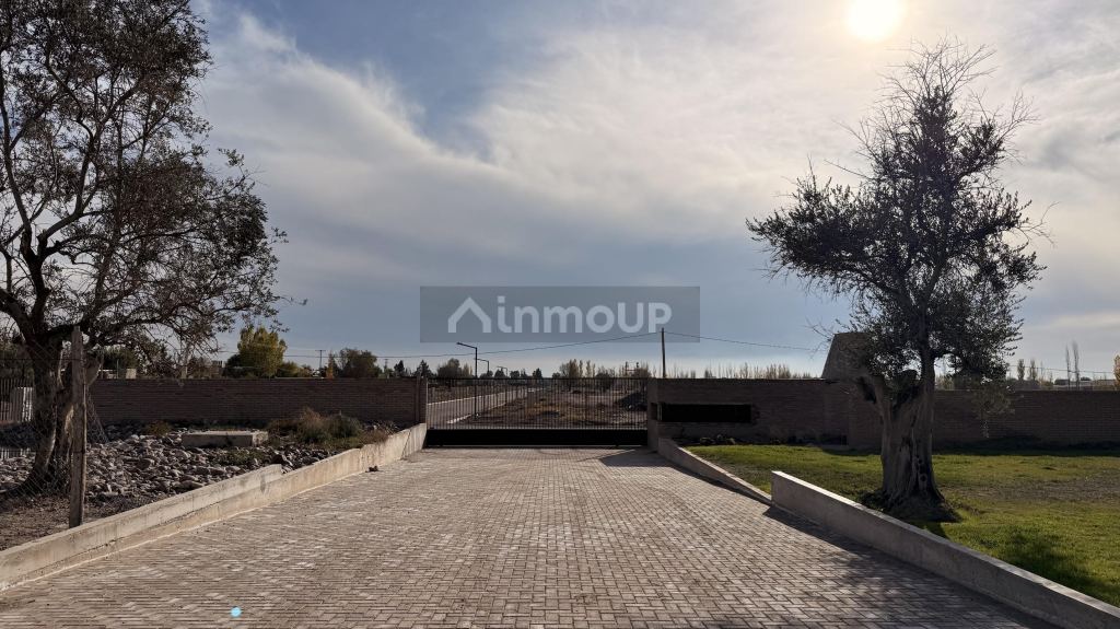 Lote en Venta en Lujan de Cuyo, Mendoza