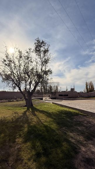 Lote en Venta en Lujan de Cuyo, Mendoza
