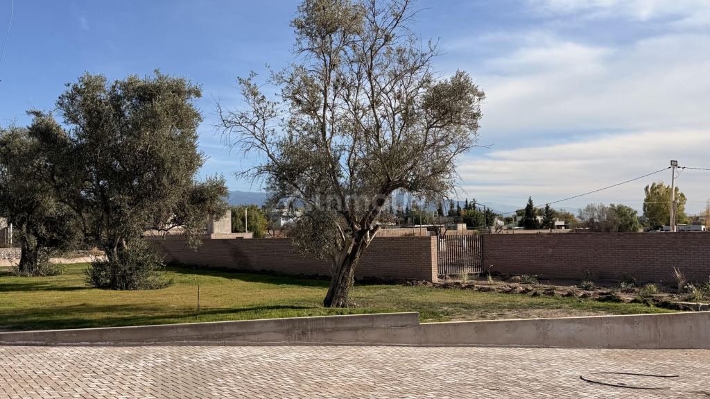 Lote en Venta en Lujan de Cuyo, Mendoza