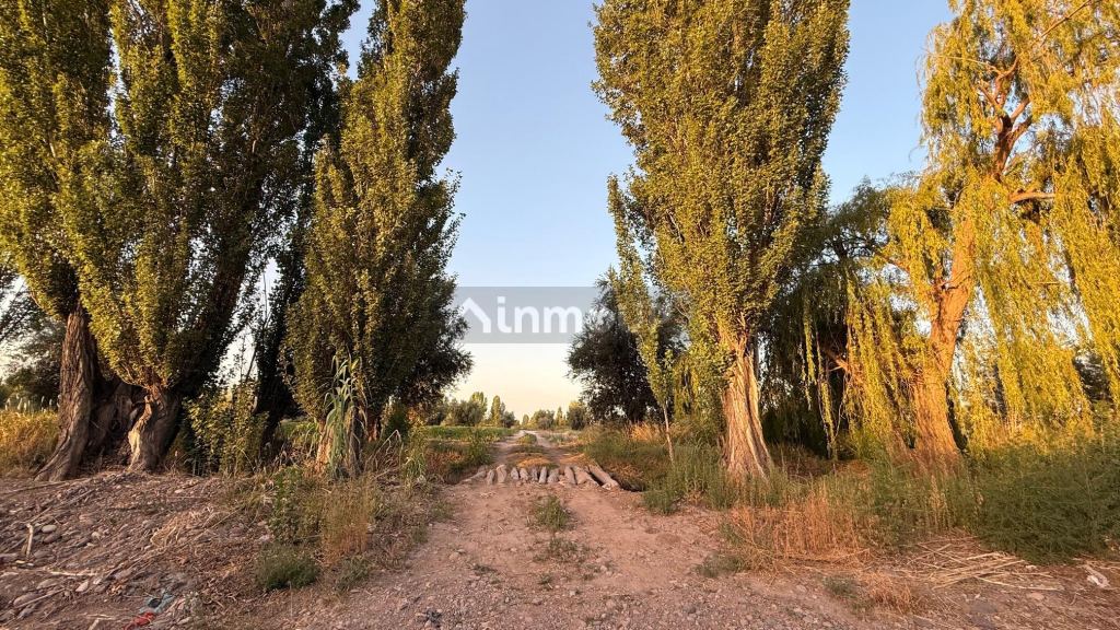 Finca en Venta en Maipu, Mendoza