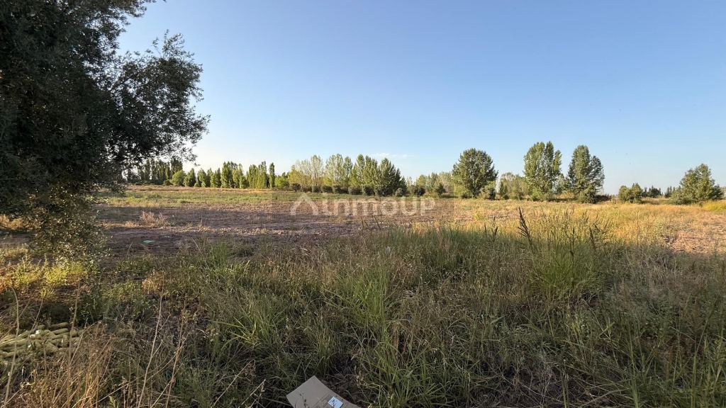 Finca en Venta en Maipu, Mendoza