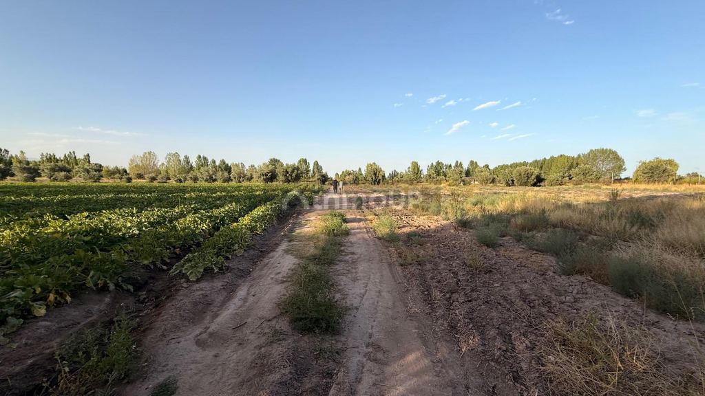 Finca en Venta en Maipu, Mendoza