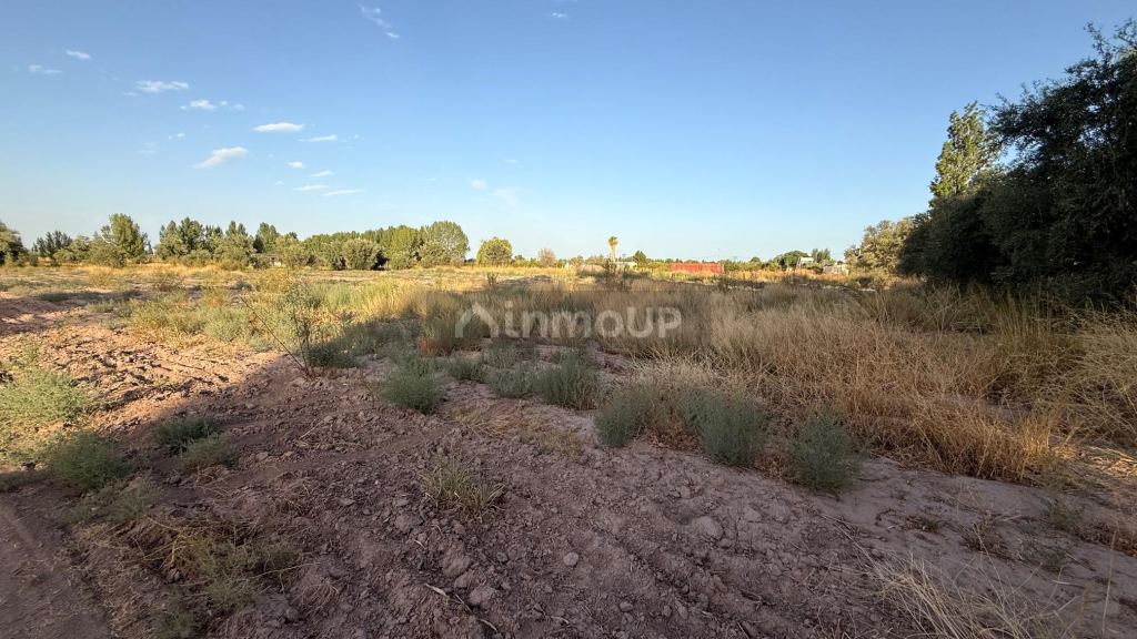 Finca en Venta en Maipu, Mendoza
