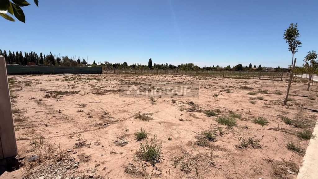 Lote en Venta en Lujan de Cuyo, Mendoza