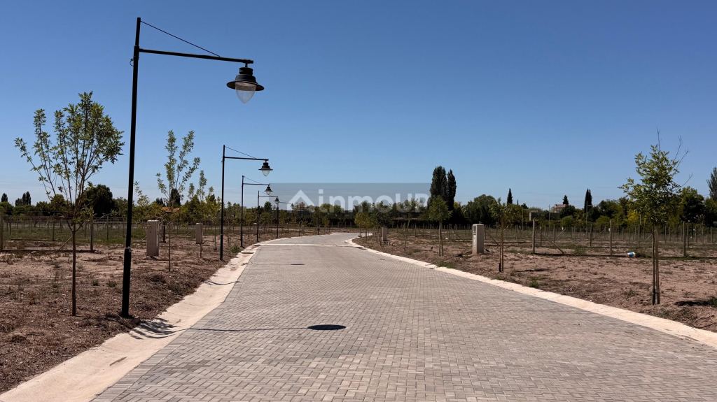 Lote en Venta en Lujan de Cuyo, Mendoza