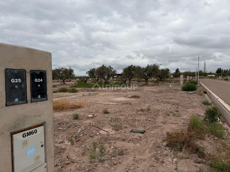 Lote en Venta en Lujan de Cuyo, Mendoza