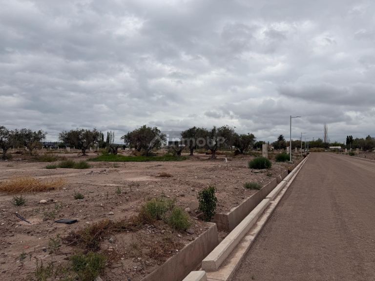 Lote en Venta en Lujan de Cuyo, Mendoza