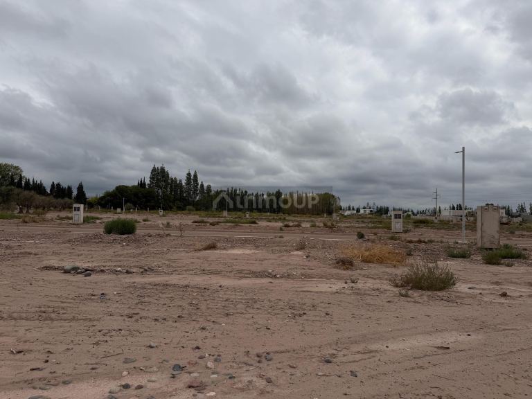 Lote en Venta en Lujan de Cuyo, Mendoza