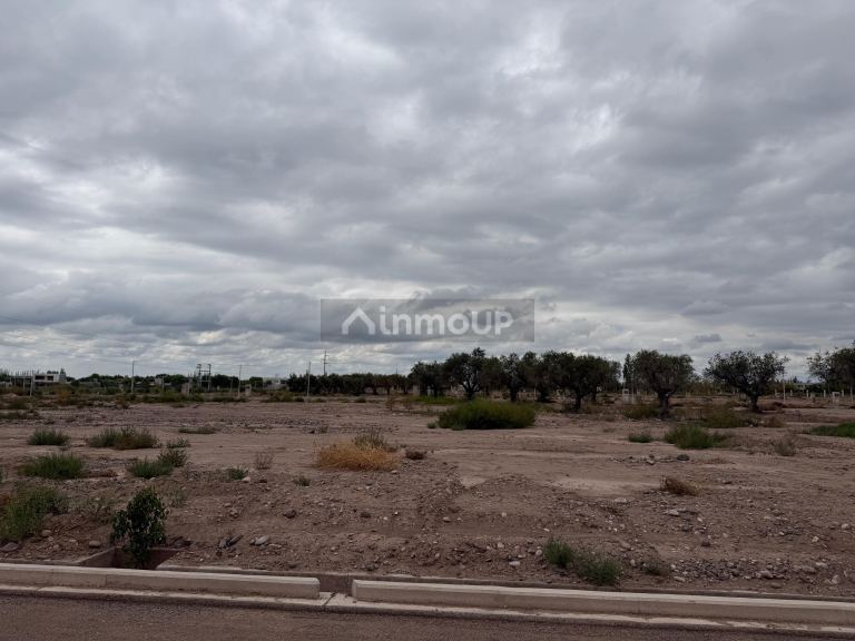 Lote en Venta en Lujan de Cuyo, Mendoza