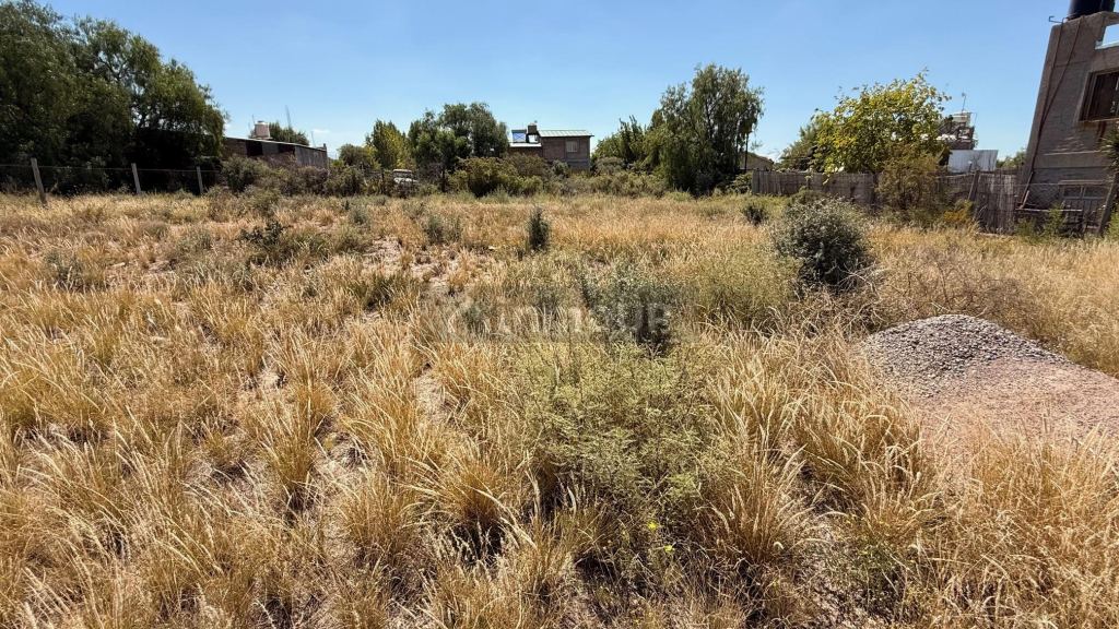 Lote en Venta en Lujan de Cuyo, Mendoza