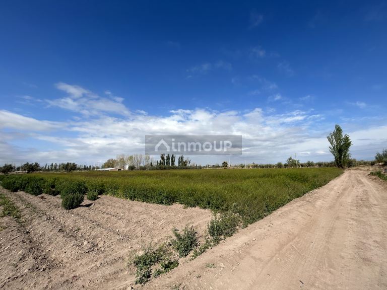Finca en Venta en Maipu, Mendoza