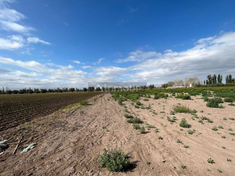 Finca en Venta en Maipu, Mendoza