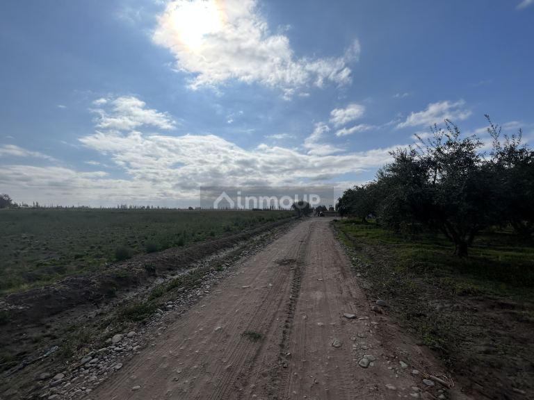 Finca en Venta en Maipu, Mendoza