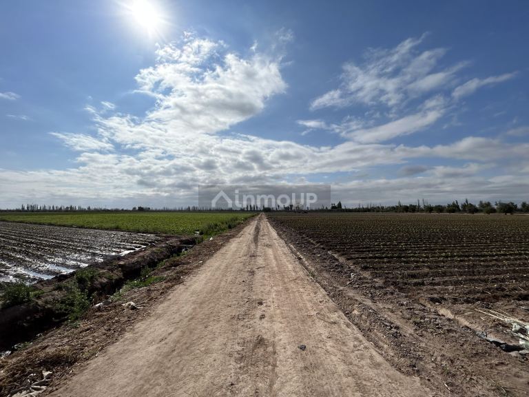 Finca en Venta en Maipu, Mendoza
