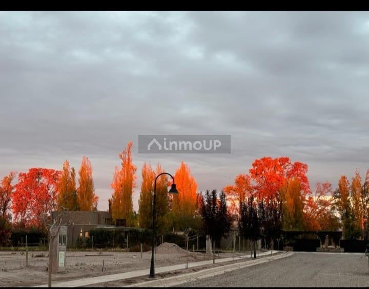 Lote en Venta en Lujan de Cuyo, Mendoza