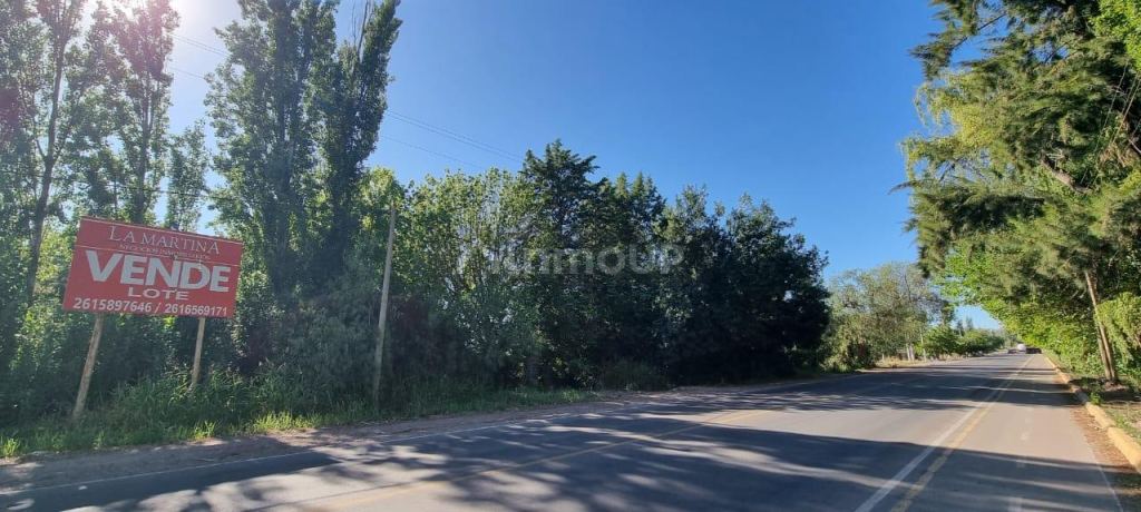 Lote en Venta en Maipu, Mendoza