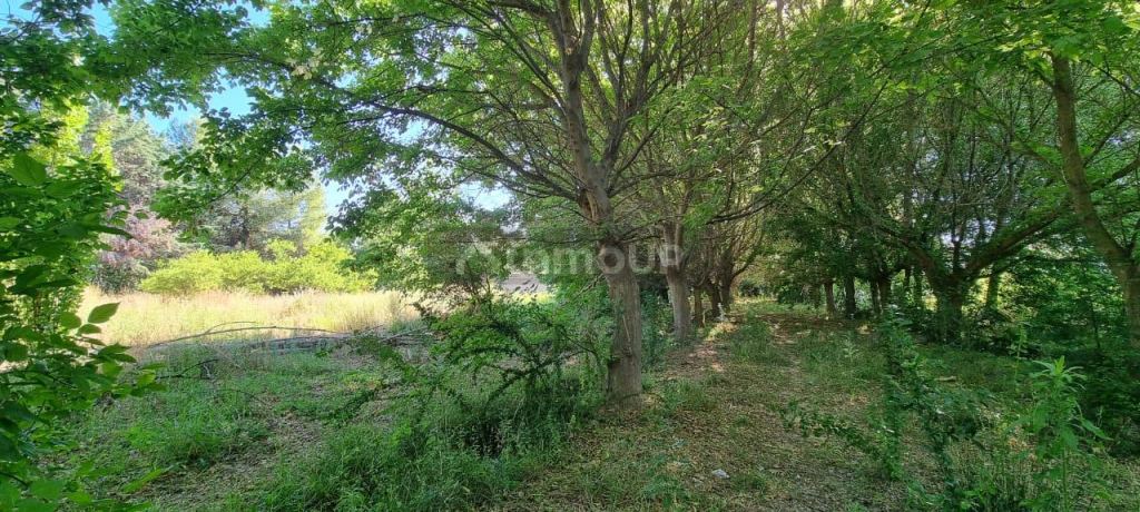 Lote en Venta en Maipu, Mendoza