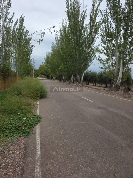 Finca en Venta en Maipu, Mendoza