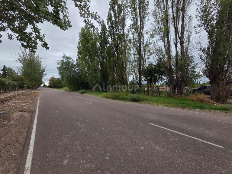 Finca en Venta en Maipu, Mendoza